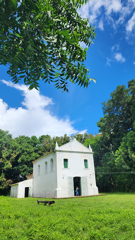 Igreja_de_Nossa_Senhora_do_Rosário__Localidade_Frecheiras,_município_de_Cocal__Foto_Allimagem_edit.jpg