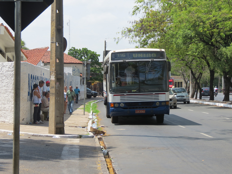 bus9.jpg