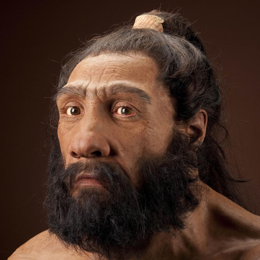neanderthalensis.jpg