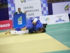 judo_senior-15.jpg