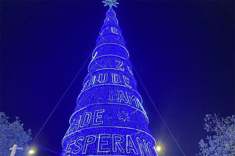 Parque da Cidadania ganha árvore de Natal com 24 metros de altura -  