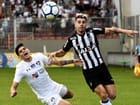 galo-flu1-6.jpg