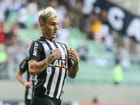 galo-flu2-1.jpg