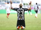 galo-flu2-3.jpg