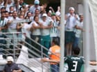 palmeiras-vitoria-2.jpg