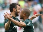 palmeiras-vitoria-8.jpg