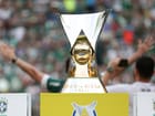 campeao-palmeiras-1.jpg