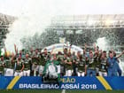 campeao-palmeiras-12.jpg