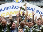 campeao-palmeiras-7.jpg