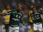 palmeiras-novorizontino-2.jpg