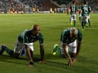 palmeiras-novorizontino-6.jpg