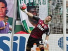 palmeiras-sao-paulo-semifinal-8.jpg