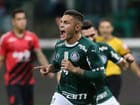 palmeiras-athletico-pr-4.jpg