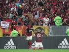 fla-botafogo-9.jpg