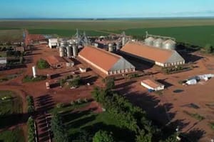 Fazenda Ypê chega a produzir 70 sacas de soja por hectare