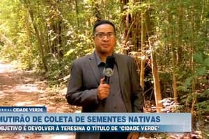 Mutirão vai coletar sementes de árvores nativas para plantio em Teresina