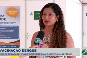 Trinta e uma cidades do Piauí receberão a nova vacina contra a dengue