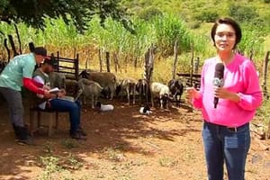 Assistência técnica rural beneficia produtores em Picos