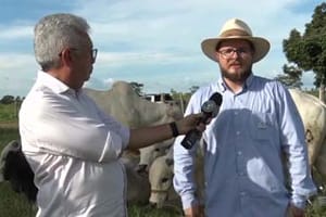 Leilão da fazenda Oiticica abre temporada de negócios na pecuária