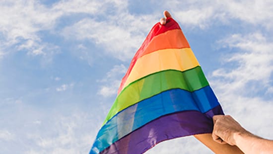 Nova bandeira LGBT+ inclui símbolos trans, intersexo e antirracismo